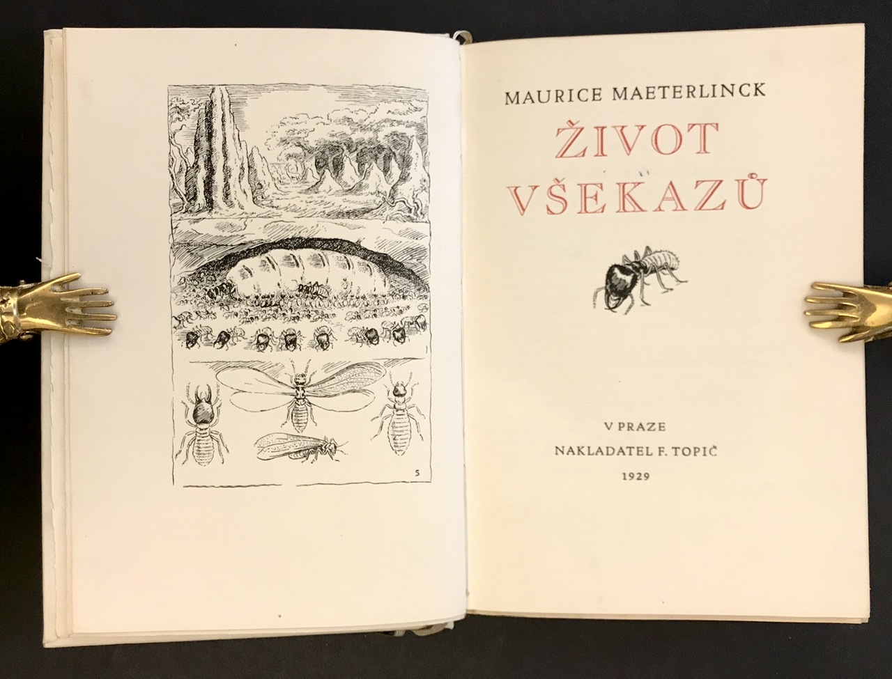 Život všekazů