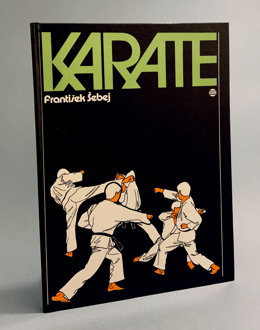 Karate 2AFE4A6A EA8C 4B1A A8E1 F0136F2428E8