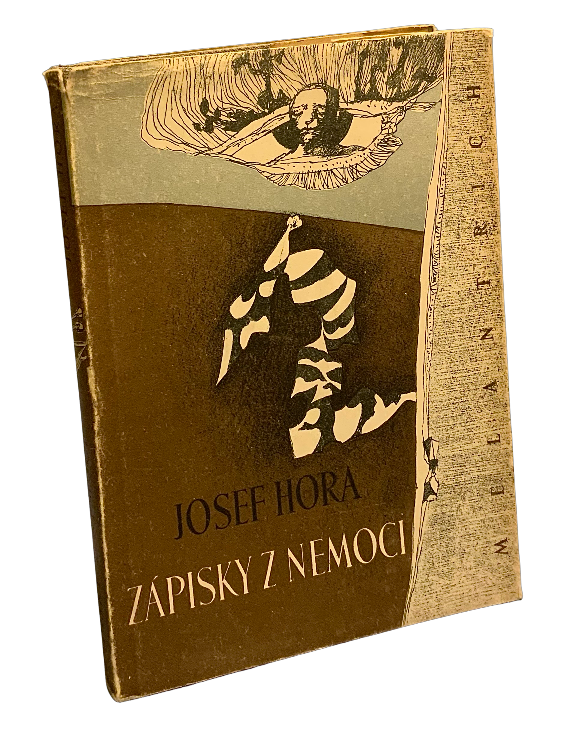 Zápisky z nemoci