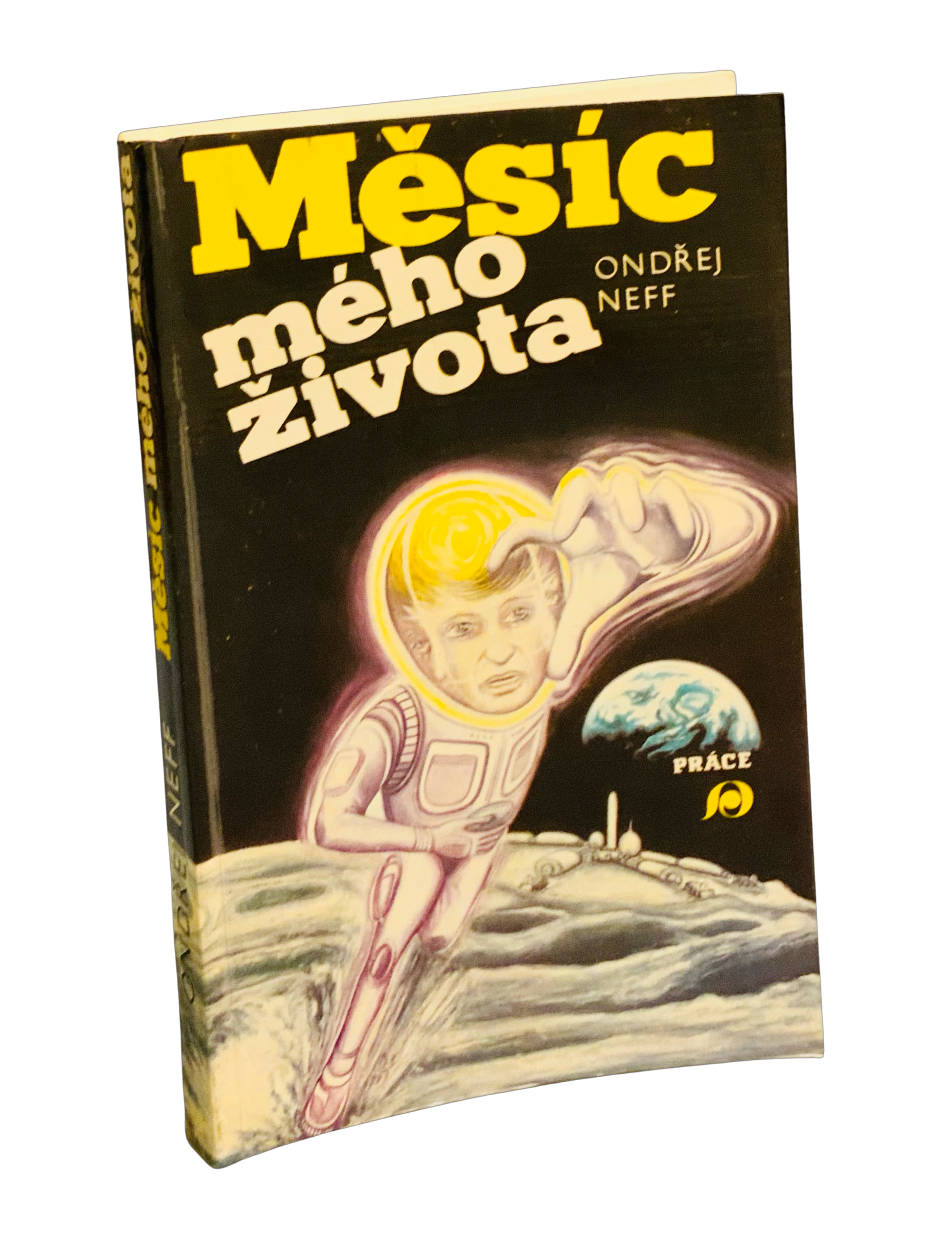 Měsíc mého života 