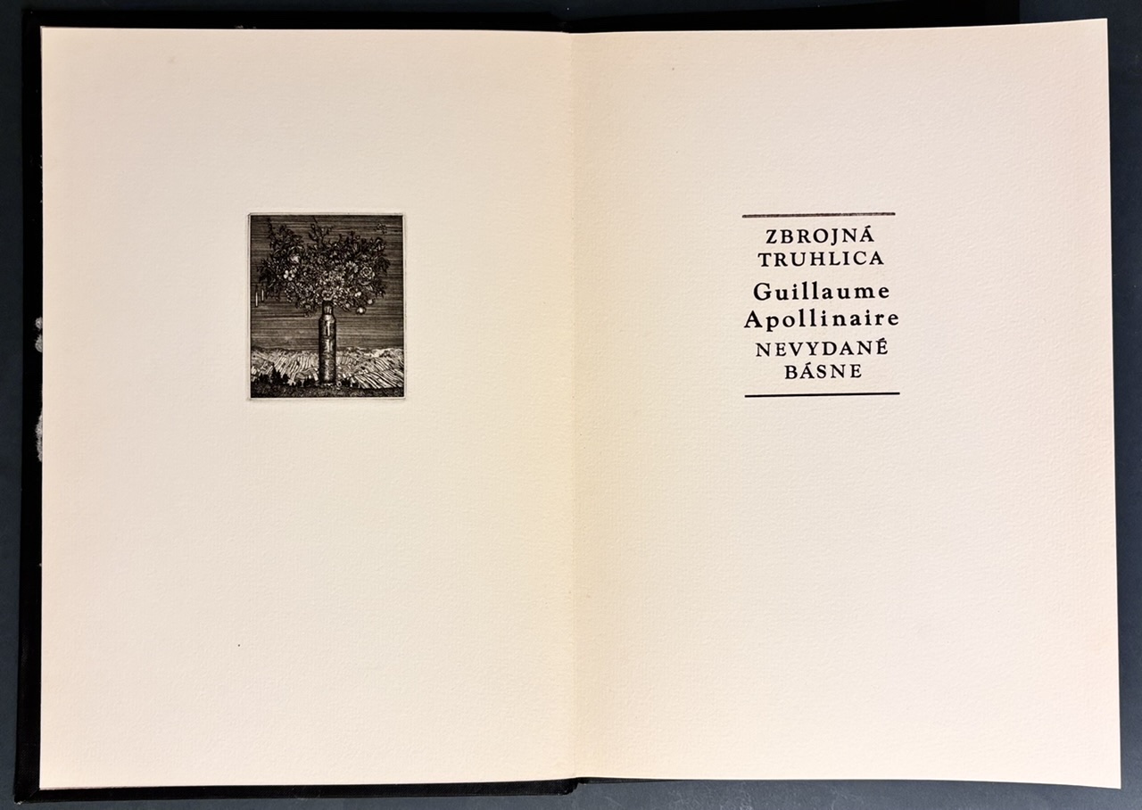 Zbrojná truhlica. Nevydané básne (výber) - BIBLIOFÍLIA