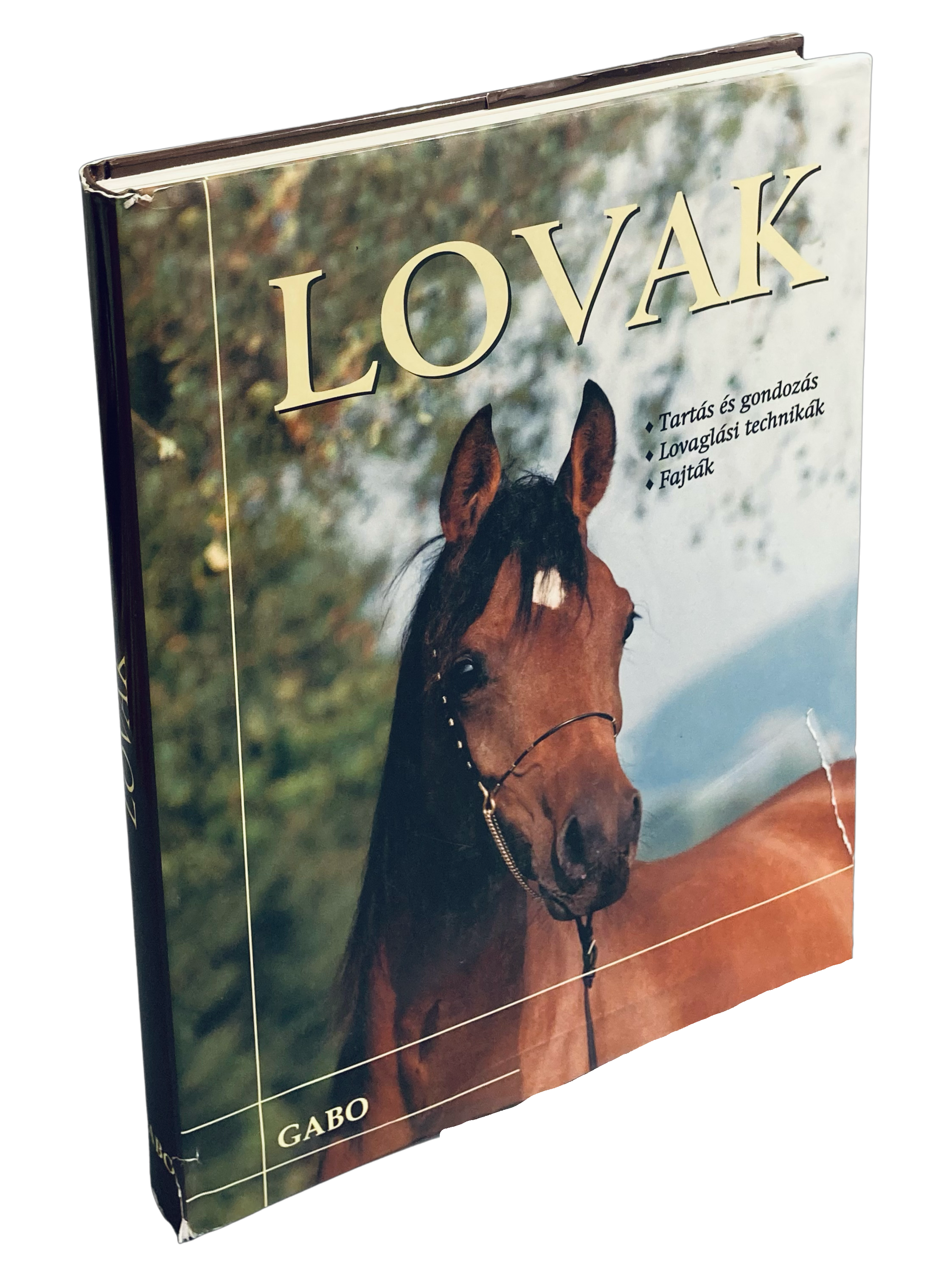 Lovak