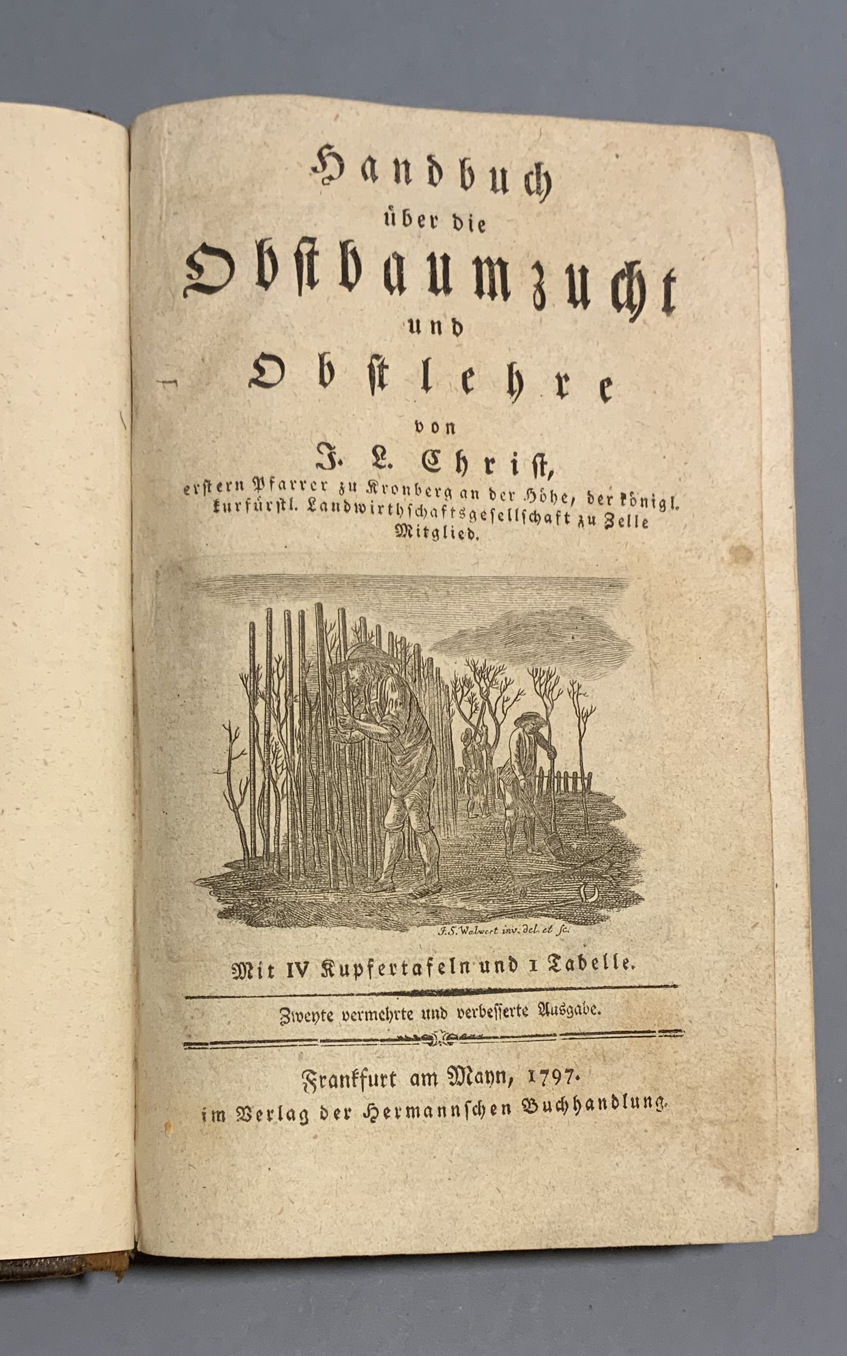 Handbuch über die Obstbaumzucht und Obstlehre