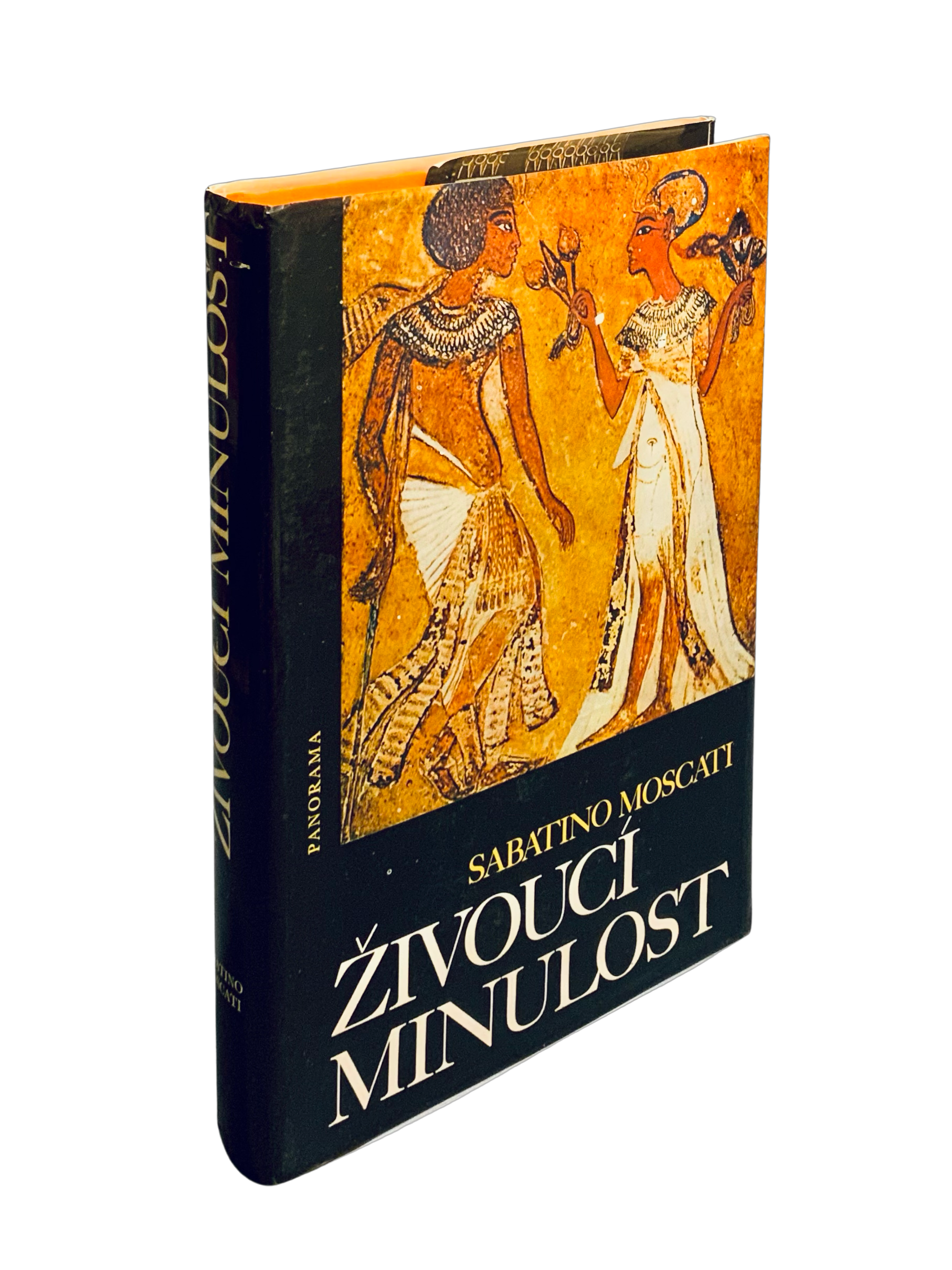Živoucí minulost