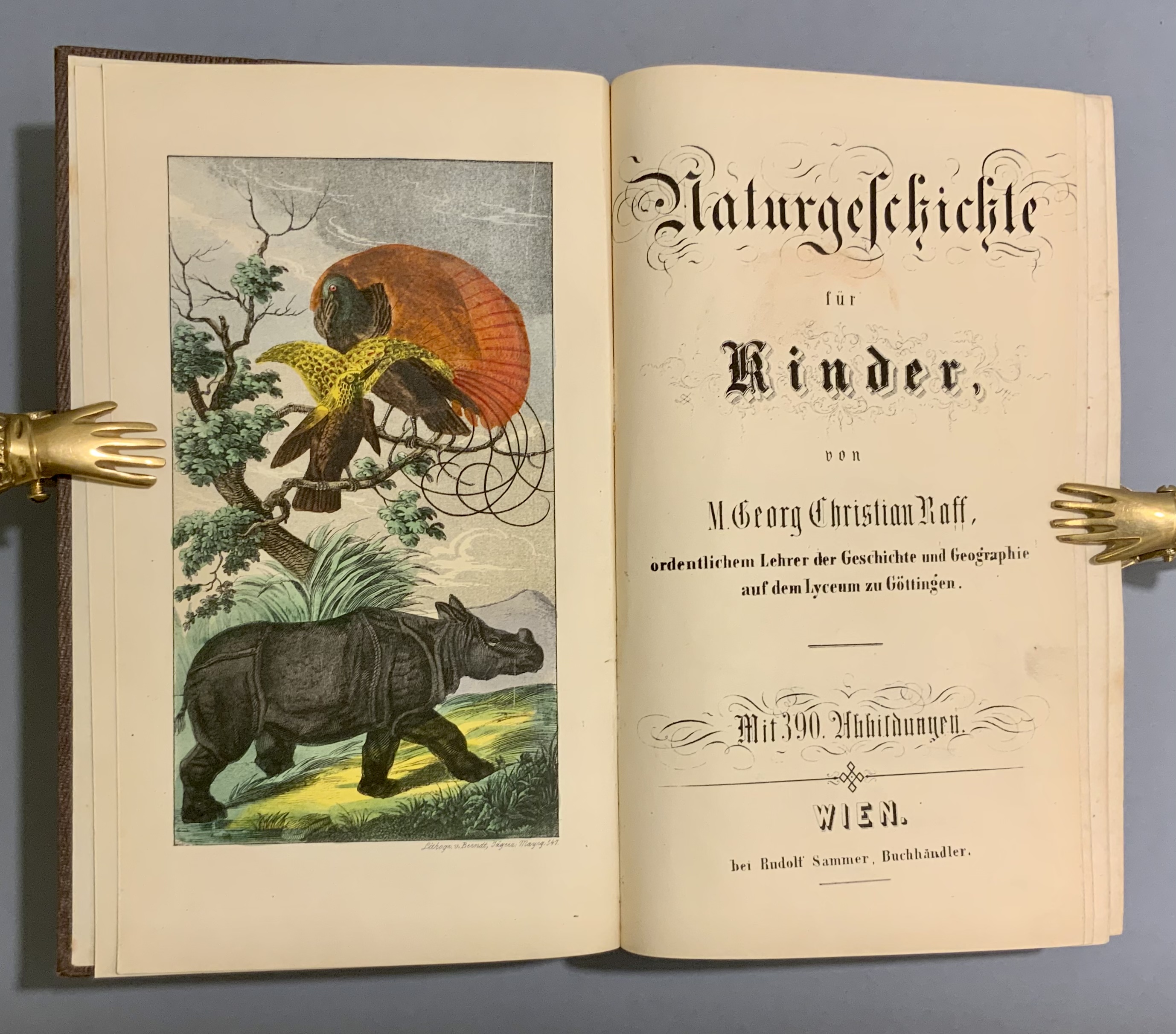 Naturgeschichte für Kinder