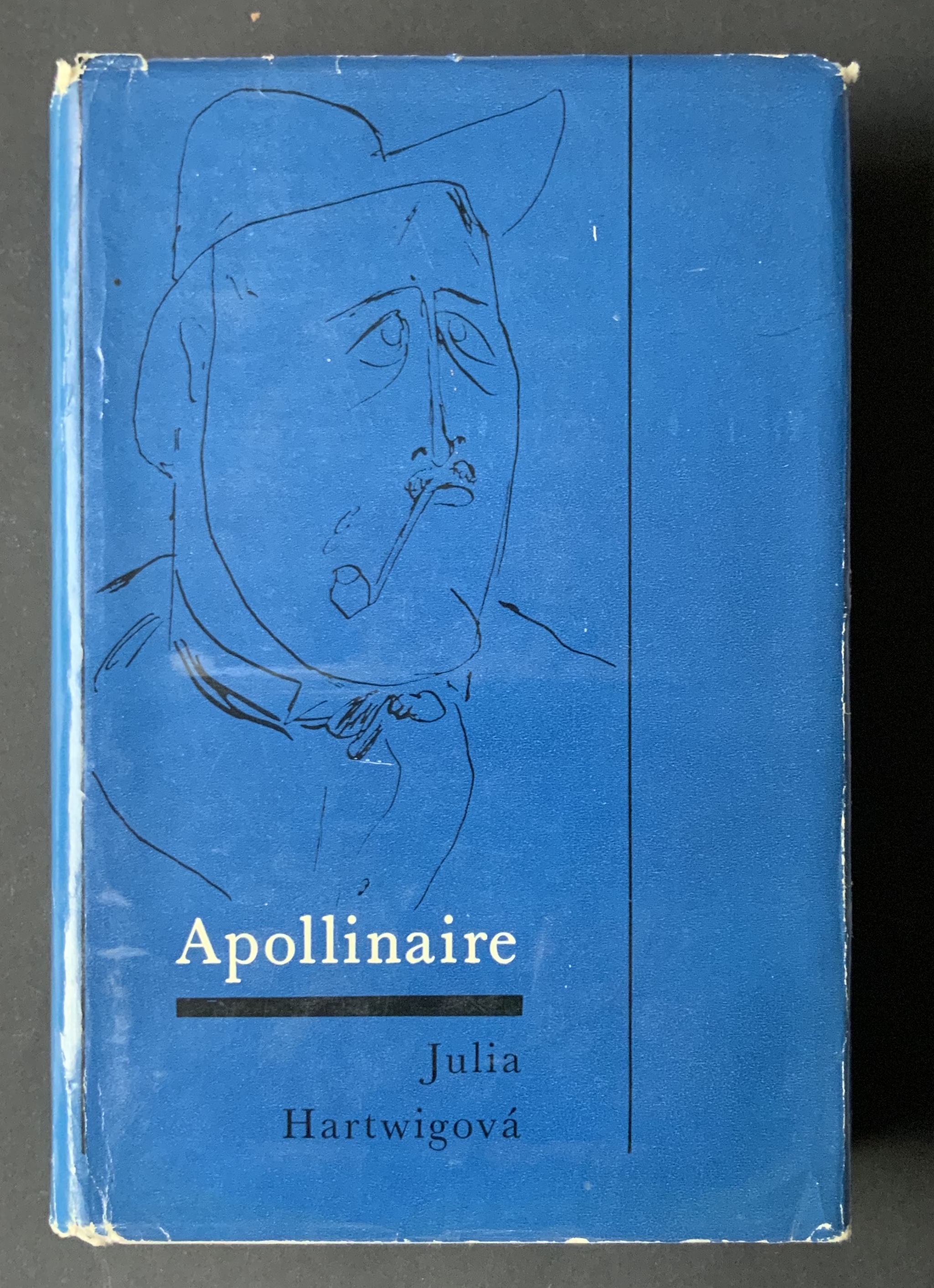 Apollinaire. Literárna biografia