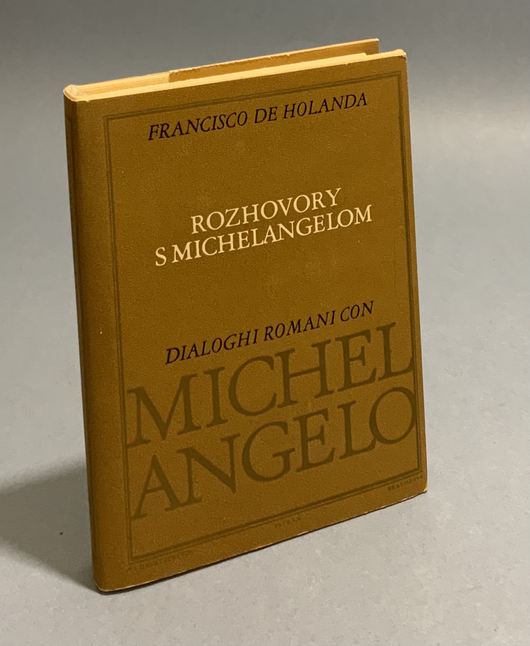 Rozhovory s Michelangelom