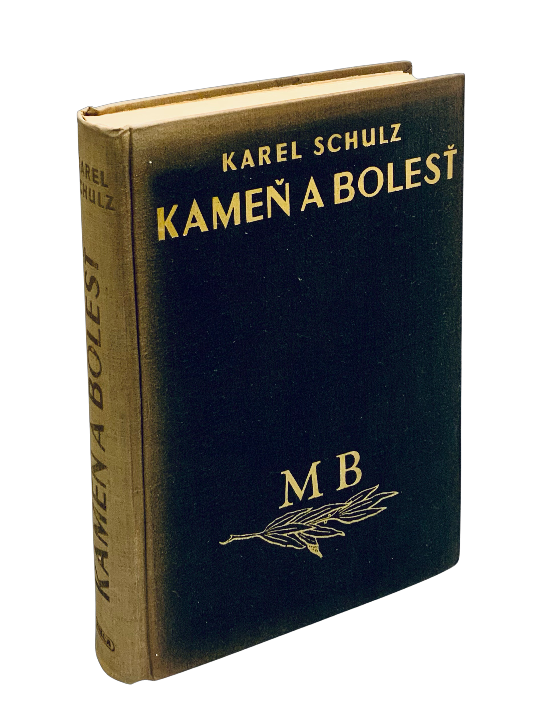 Kameň a bolesť - MICHELANGELO