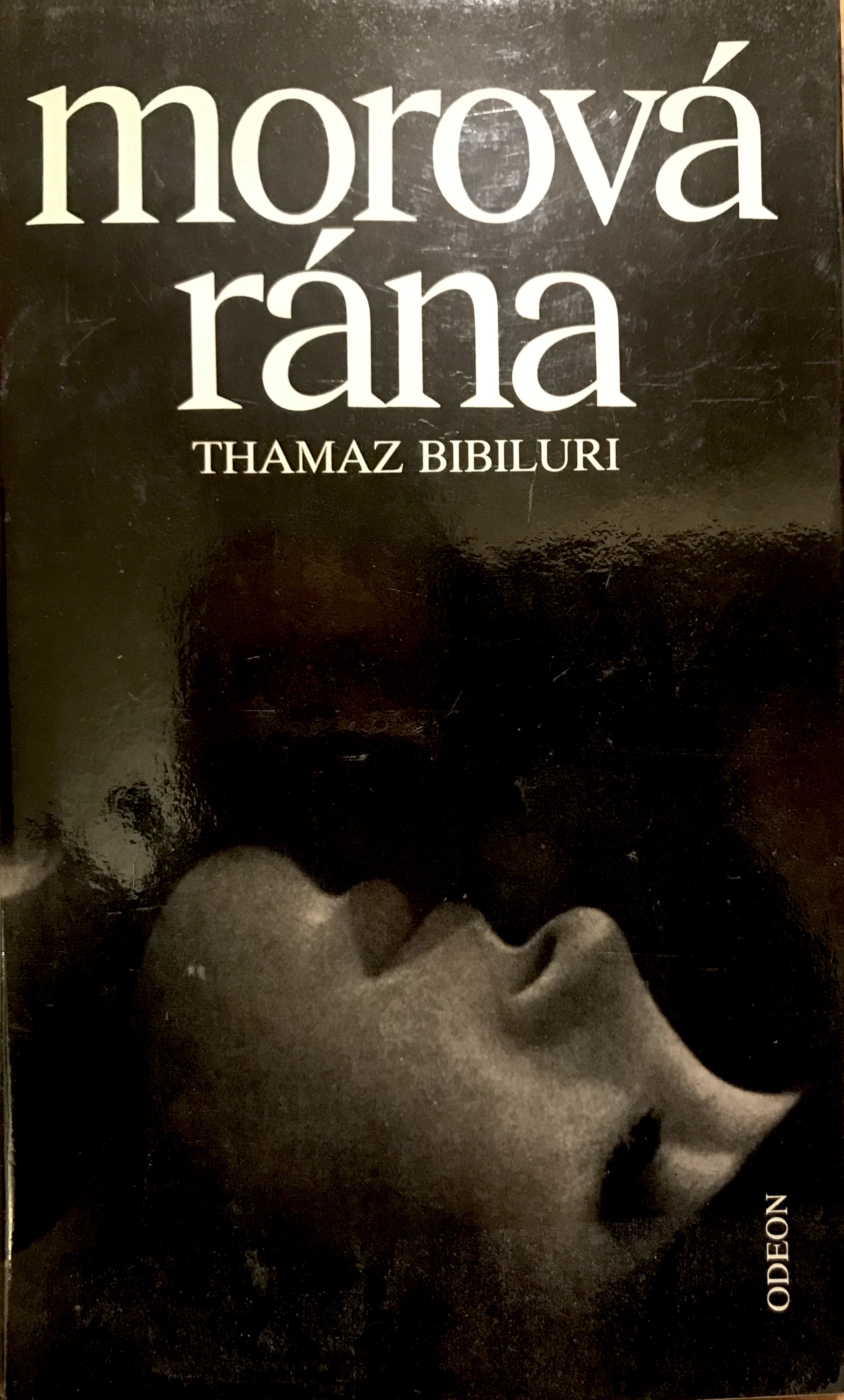 Morová rána. Gruzínsky román