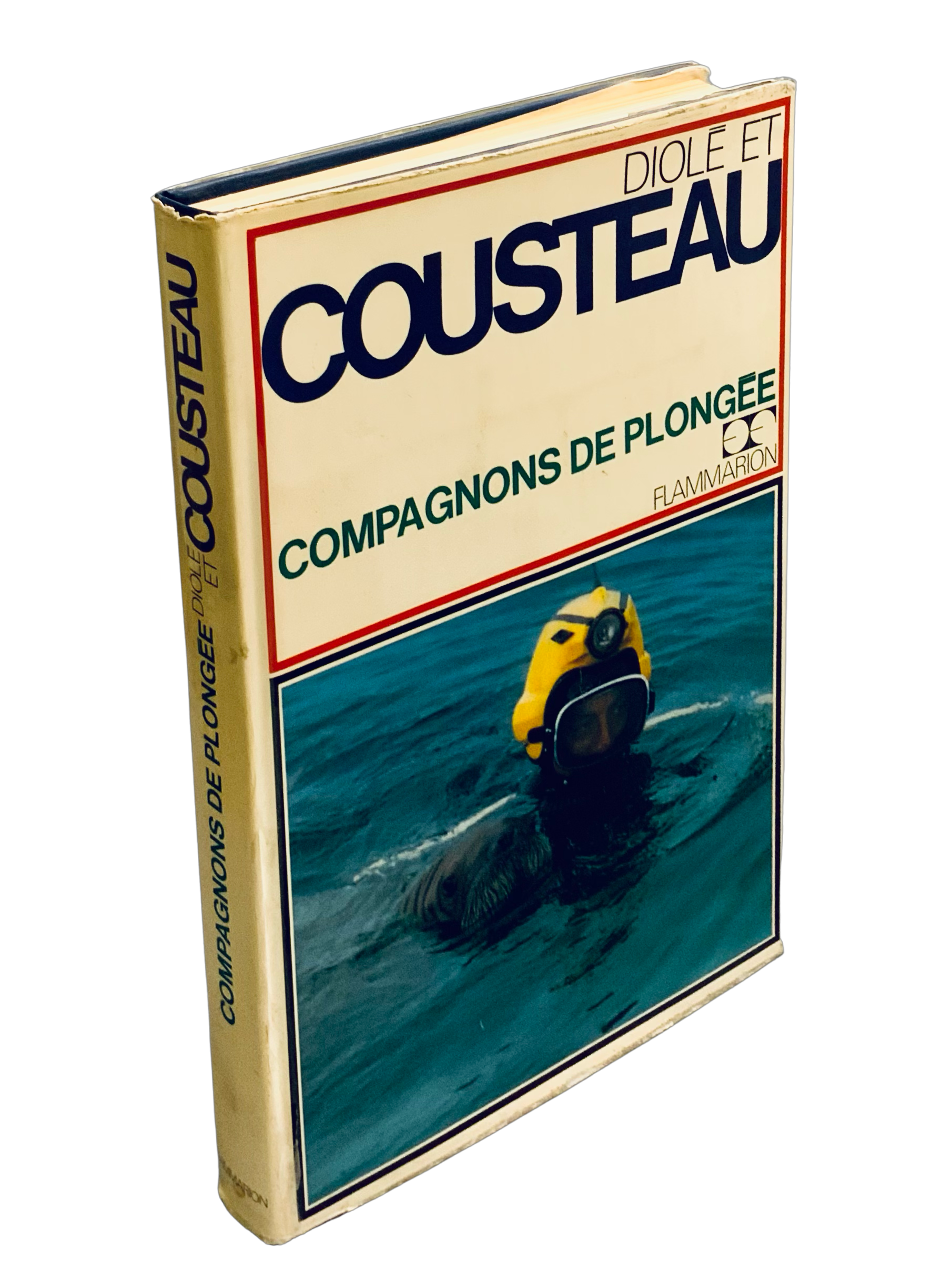 Compagnons de plongee