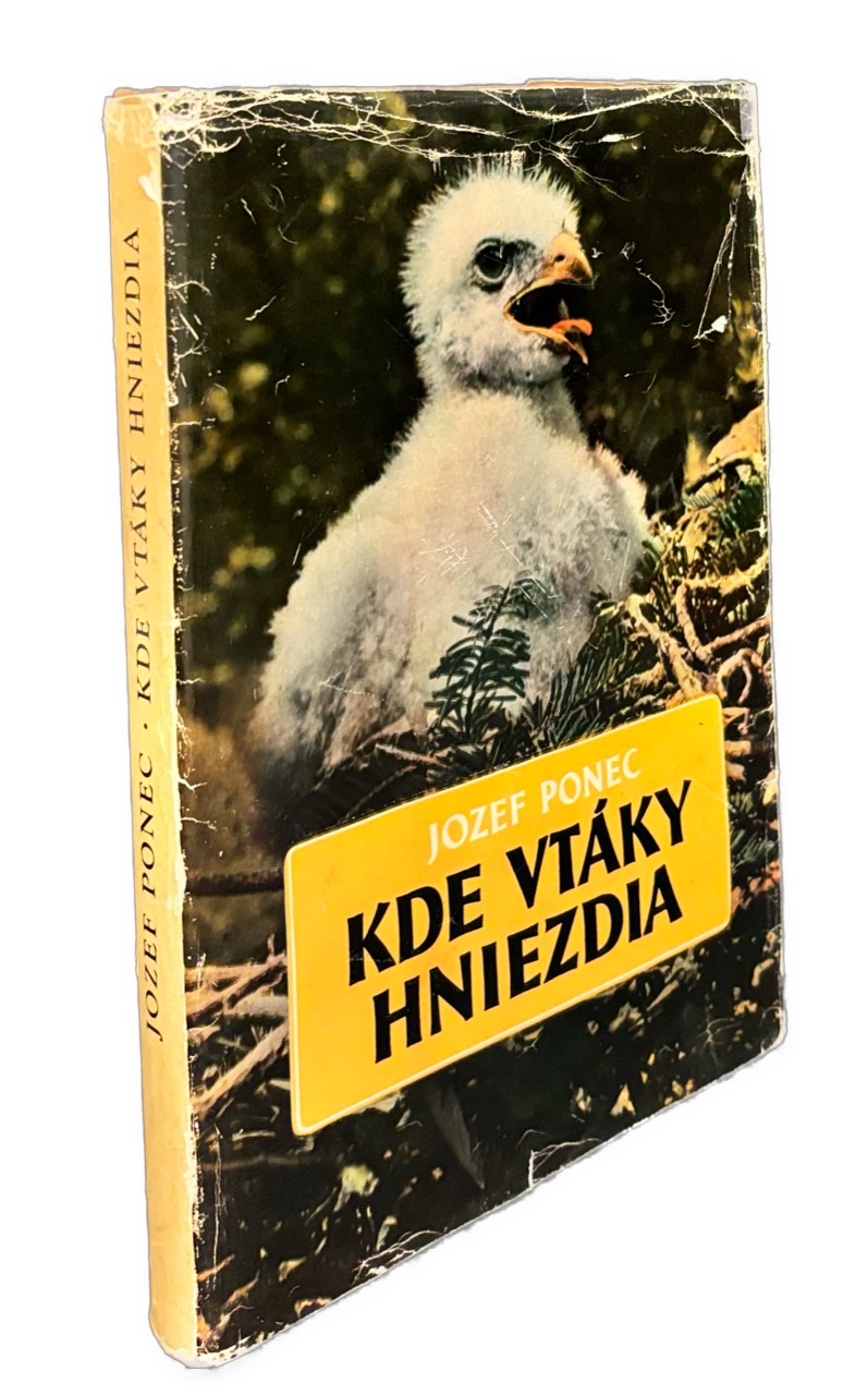 Kde vtáky hniezdia