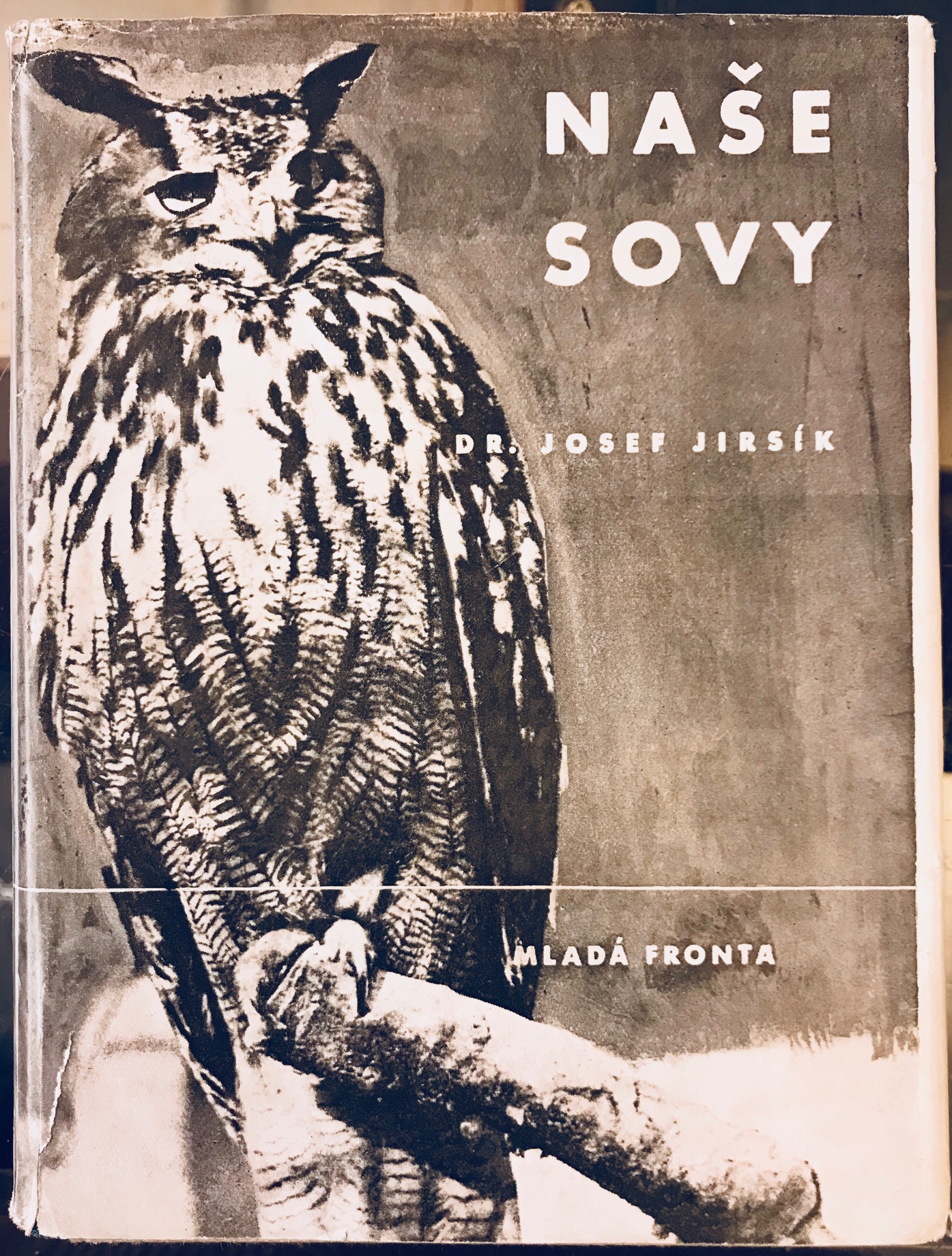 Naše sovy