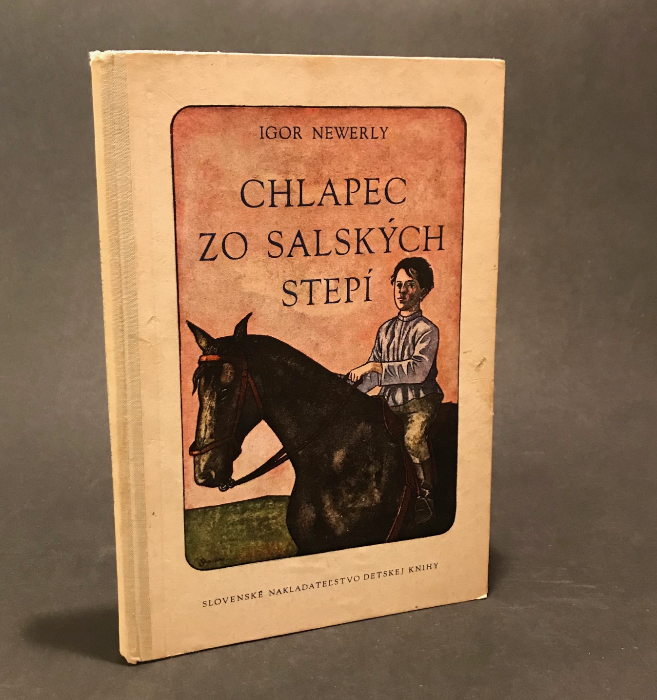 Chlapec zo Salských stepí