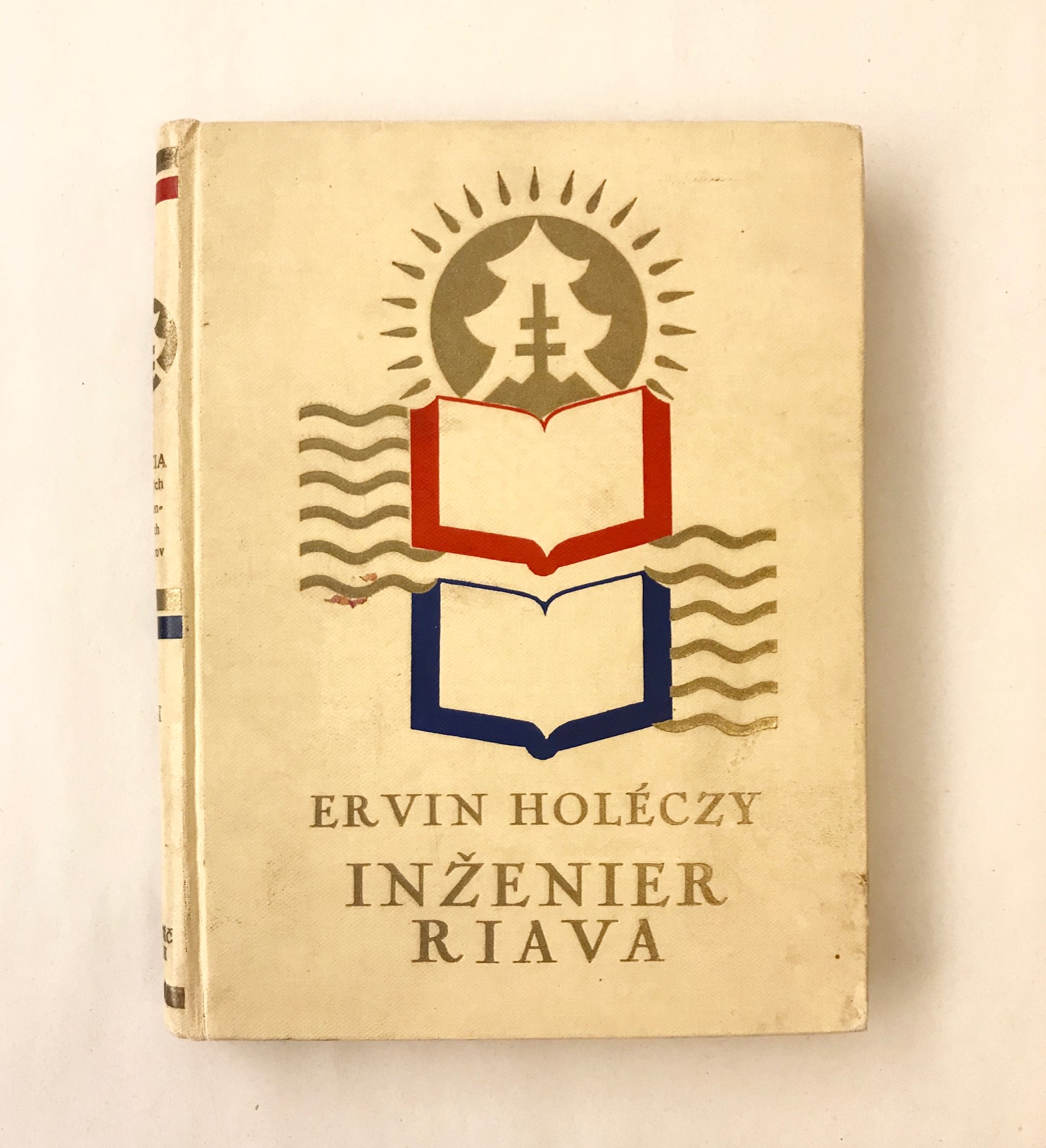 Inžinier Riava. Román