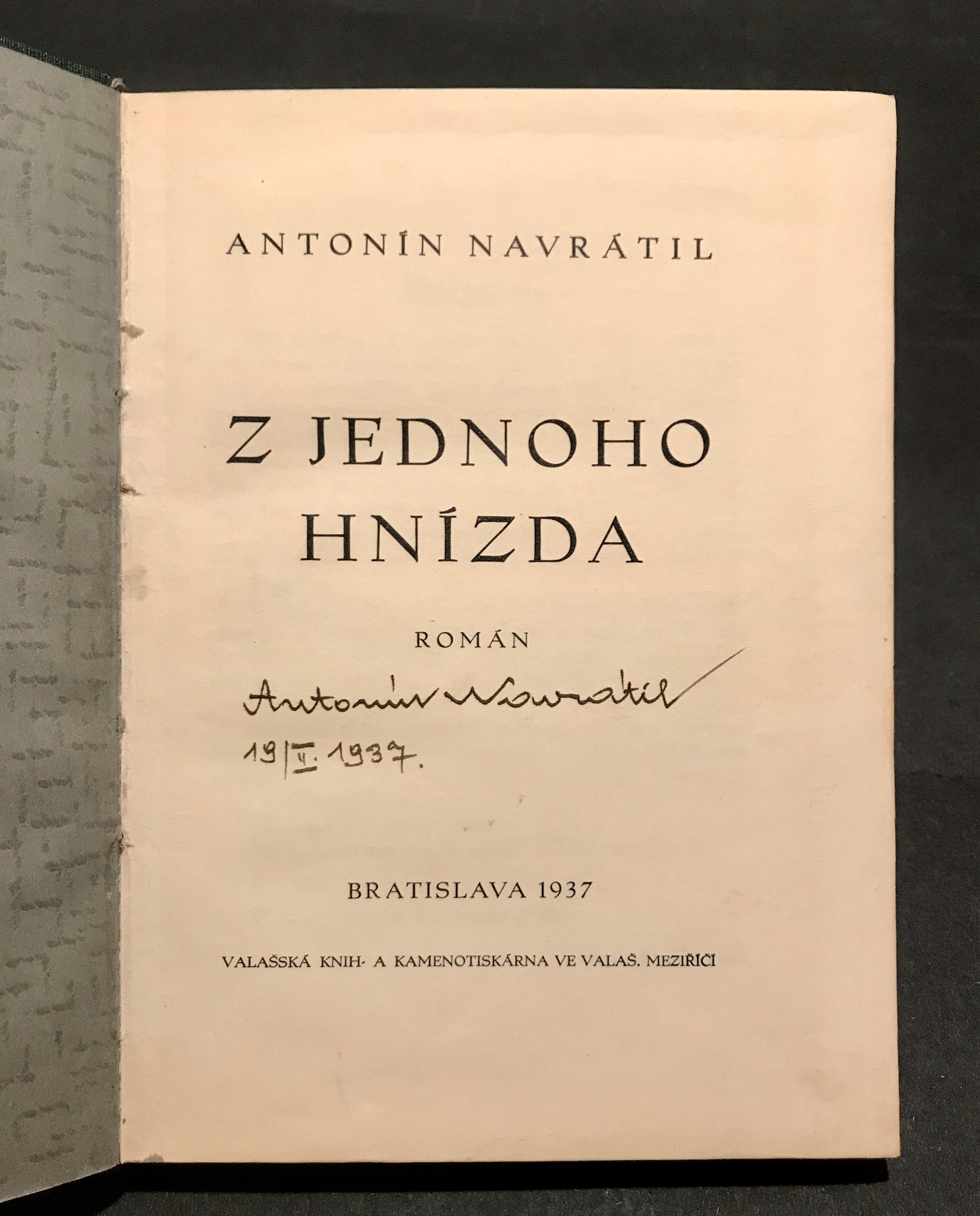 Z jednoho hnízda. Román