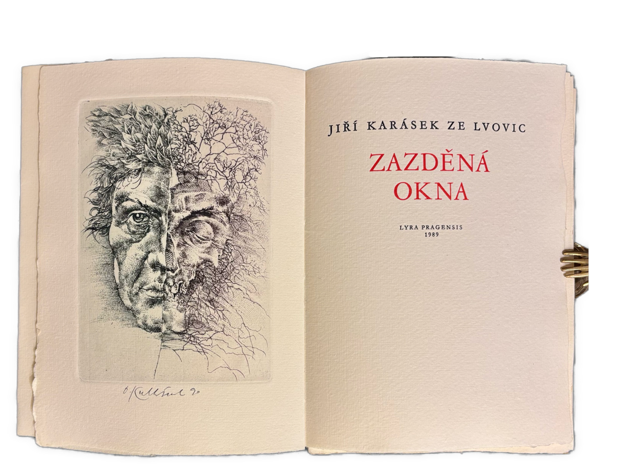 Zazděná okna. Výbor z poezie