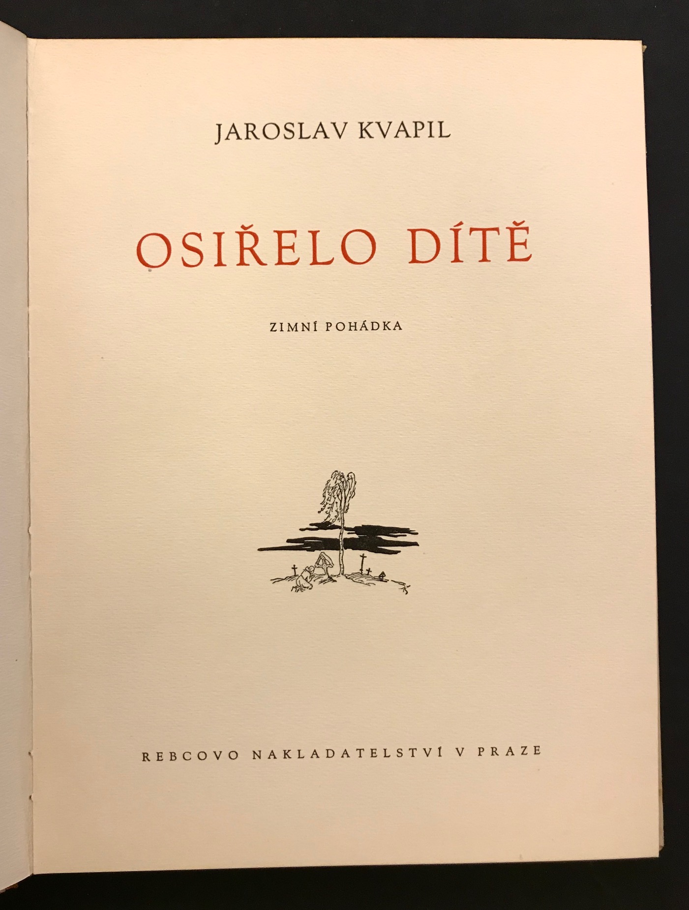 Osiřelo dítě. Zimní pohádka