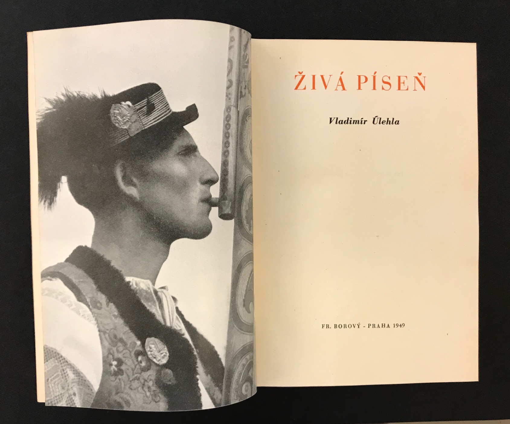 Živá píseň (Stáržnicko)