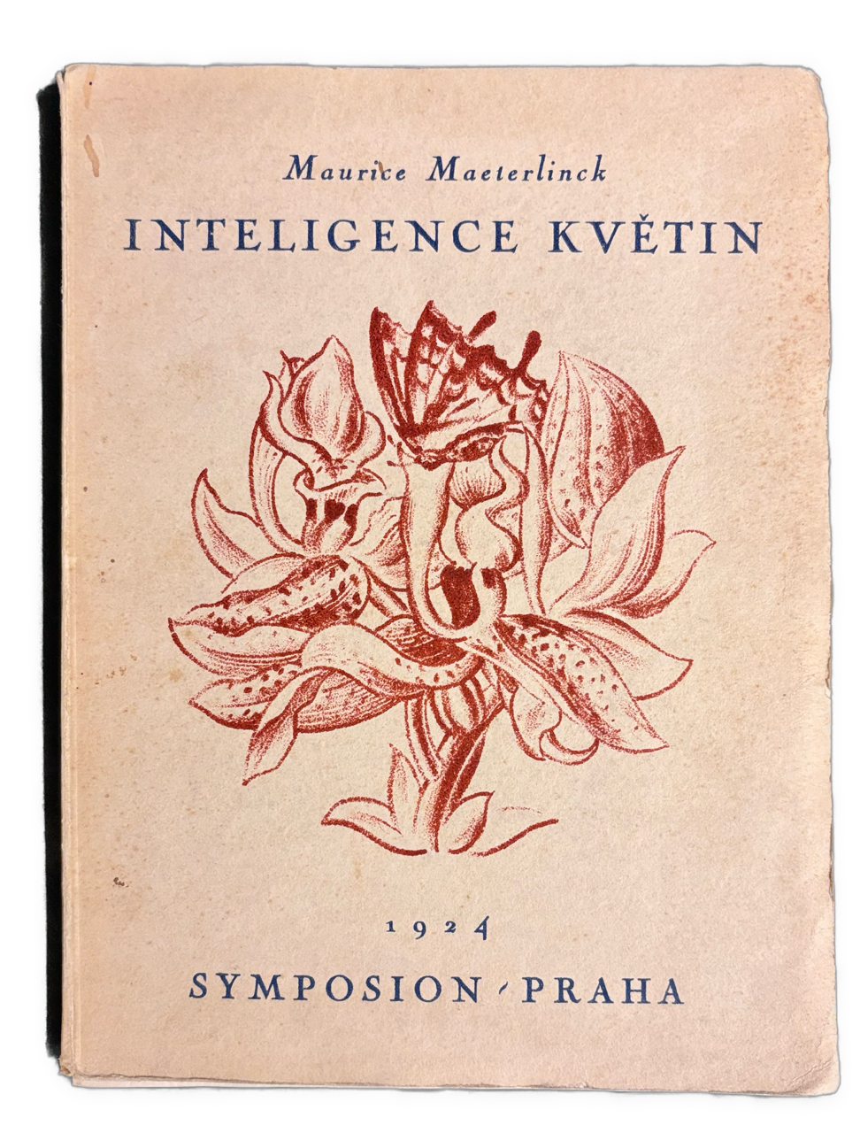Inteligence květin