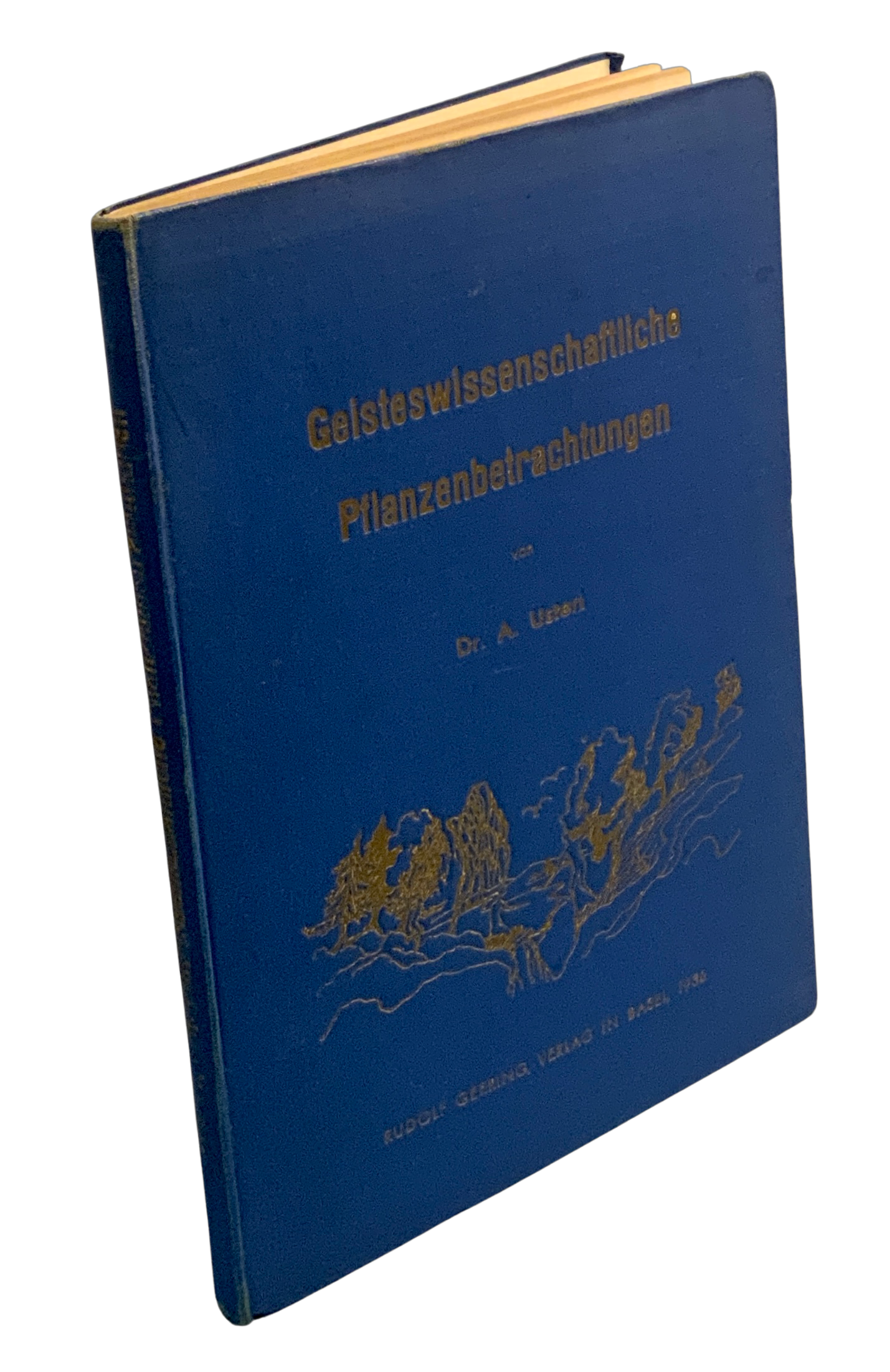 Geisteswissenschaftliche Pflanzenbetrachtungen
