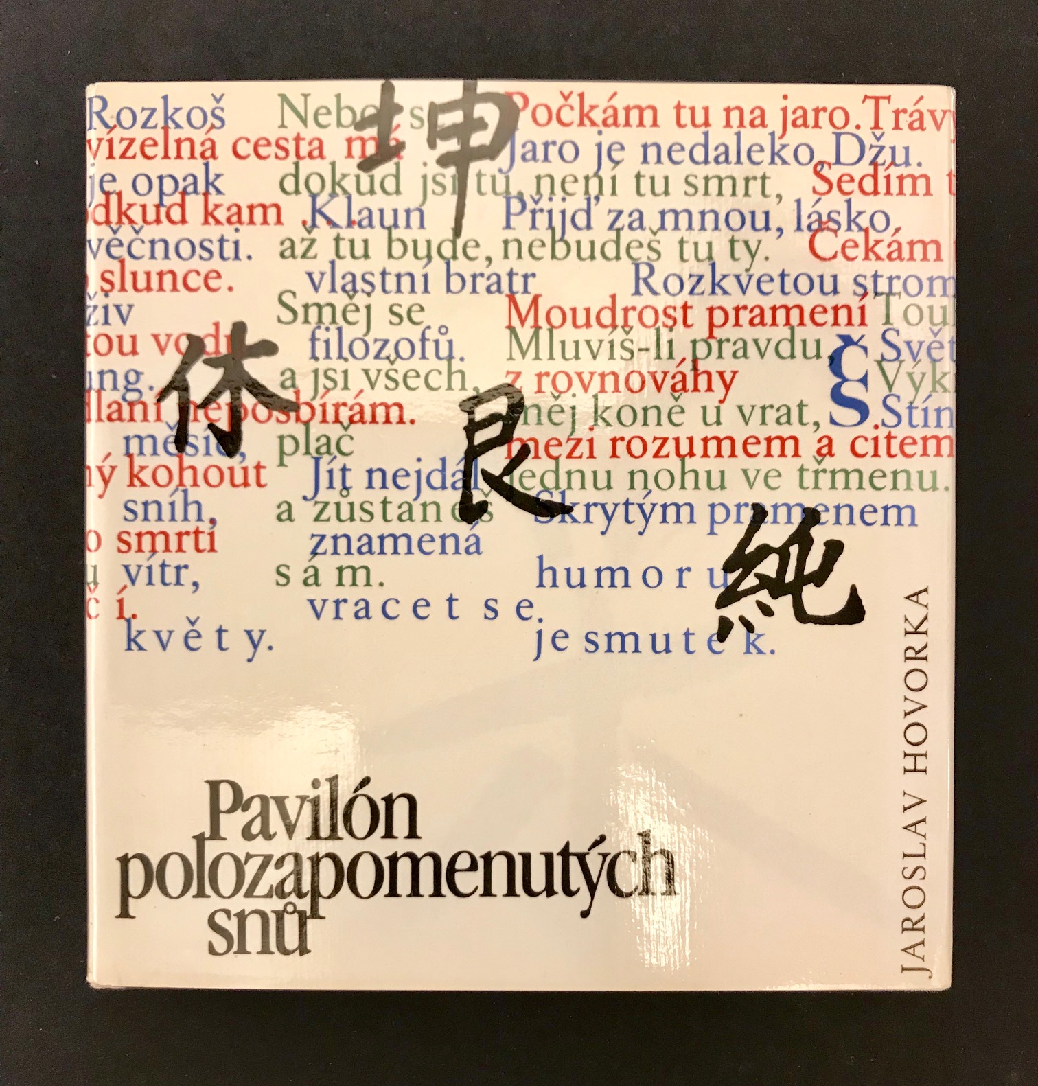 Pavilón zapomenutých snů