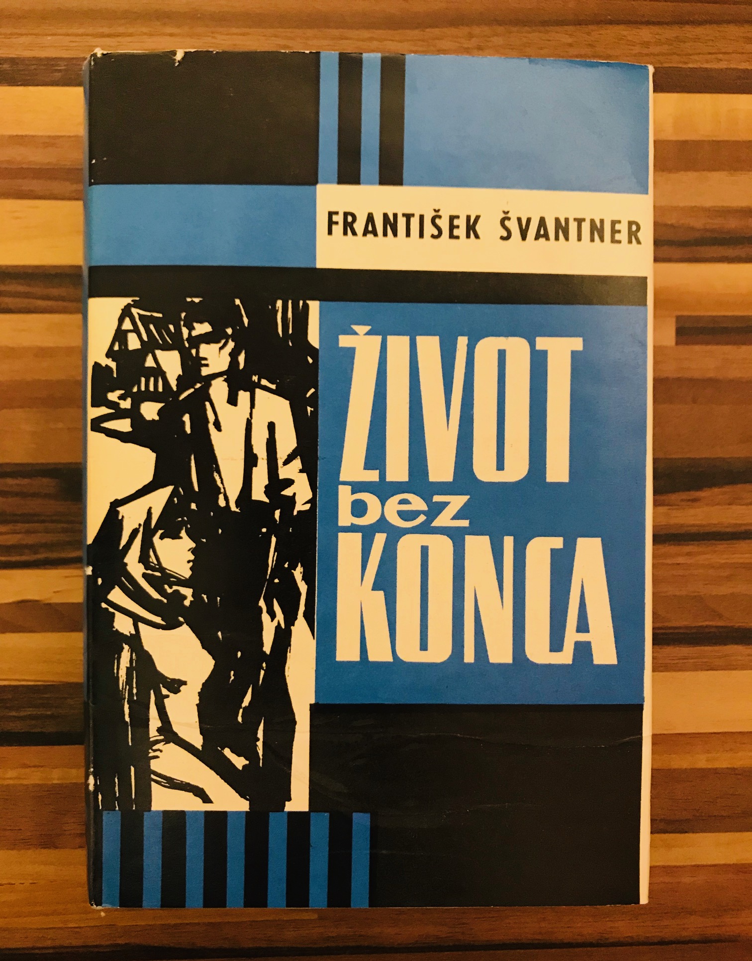 Život bez konca