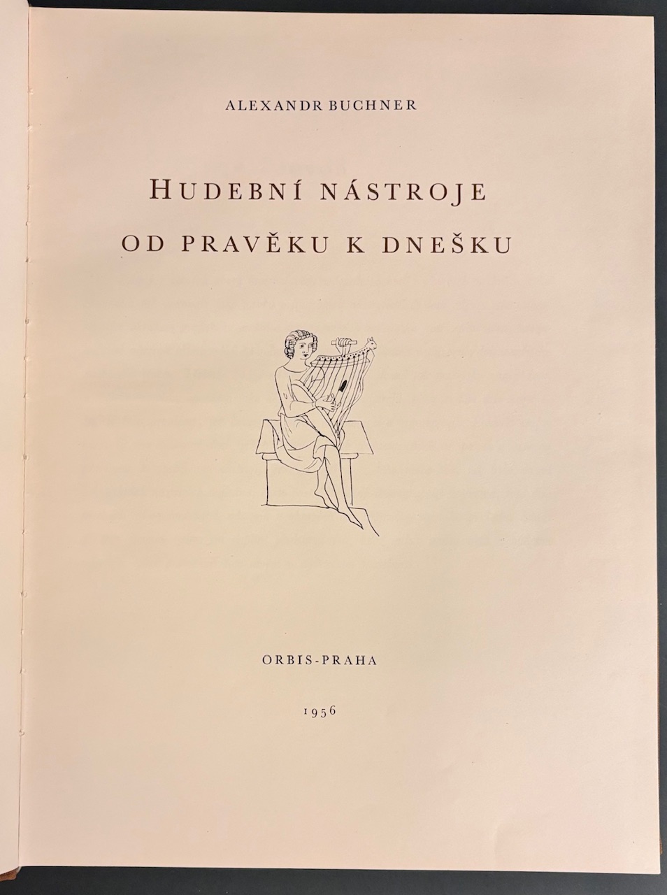 Hudební nástoje od pravěku k dnešku