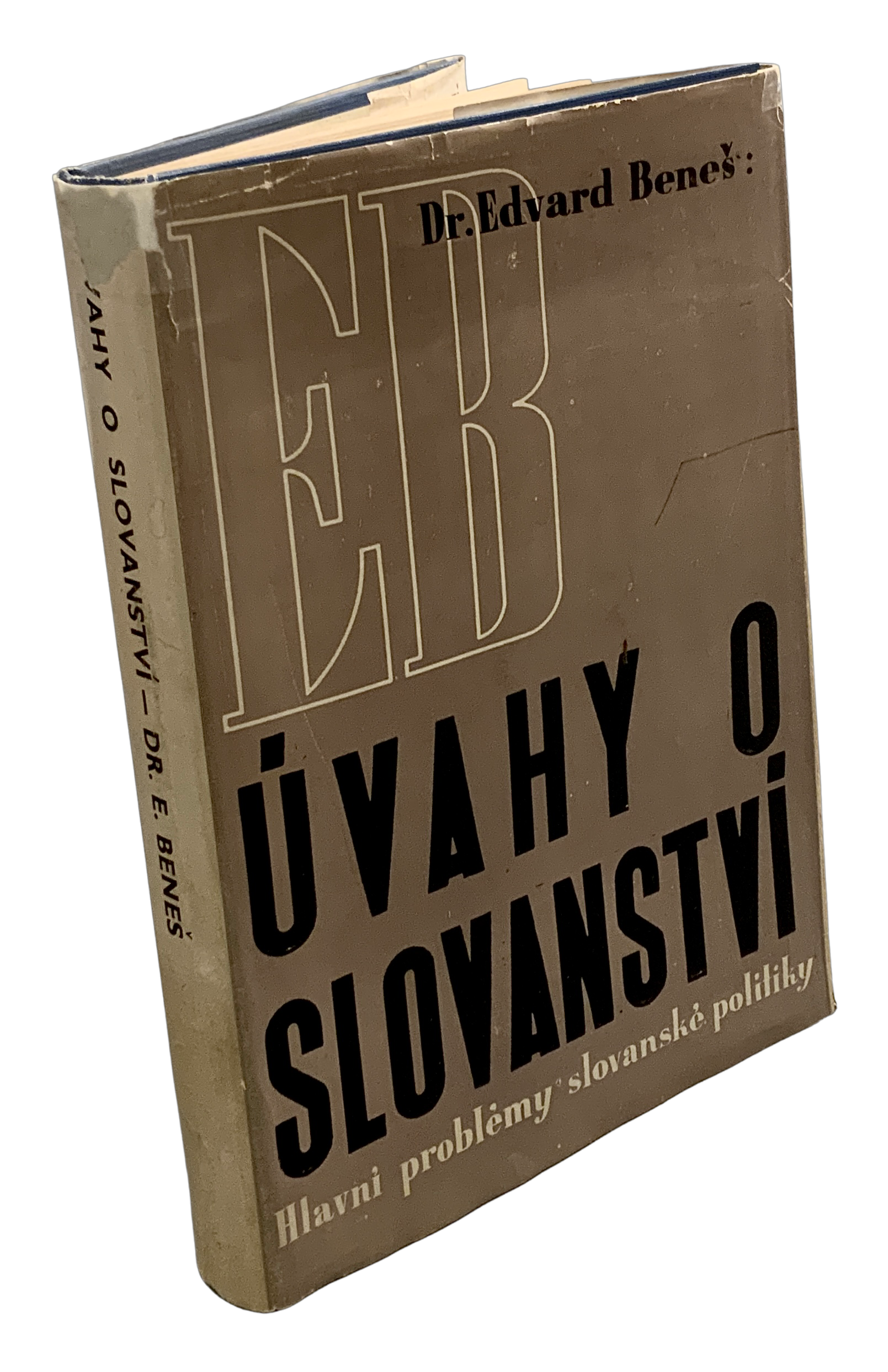 Úvahy o slovanství, Hlavní problémy slovanské politiky