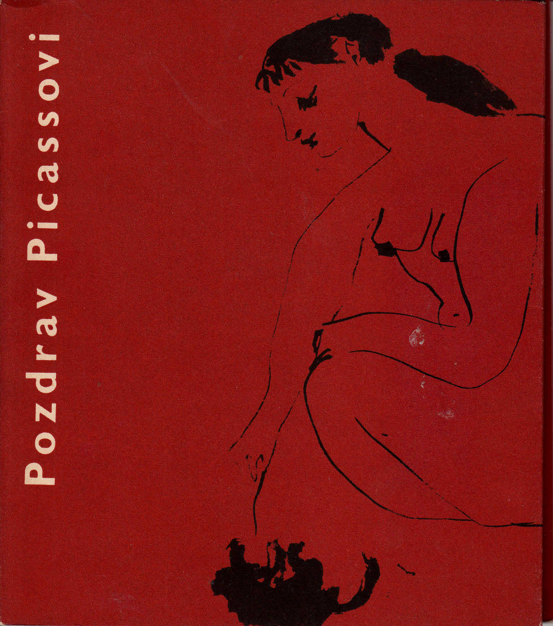 Pozdrav Picassovi