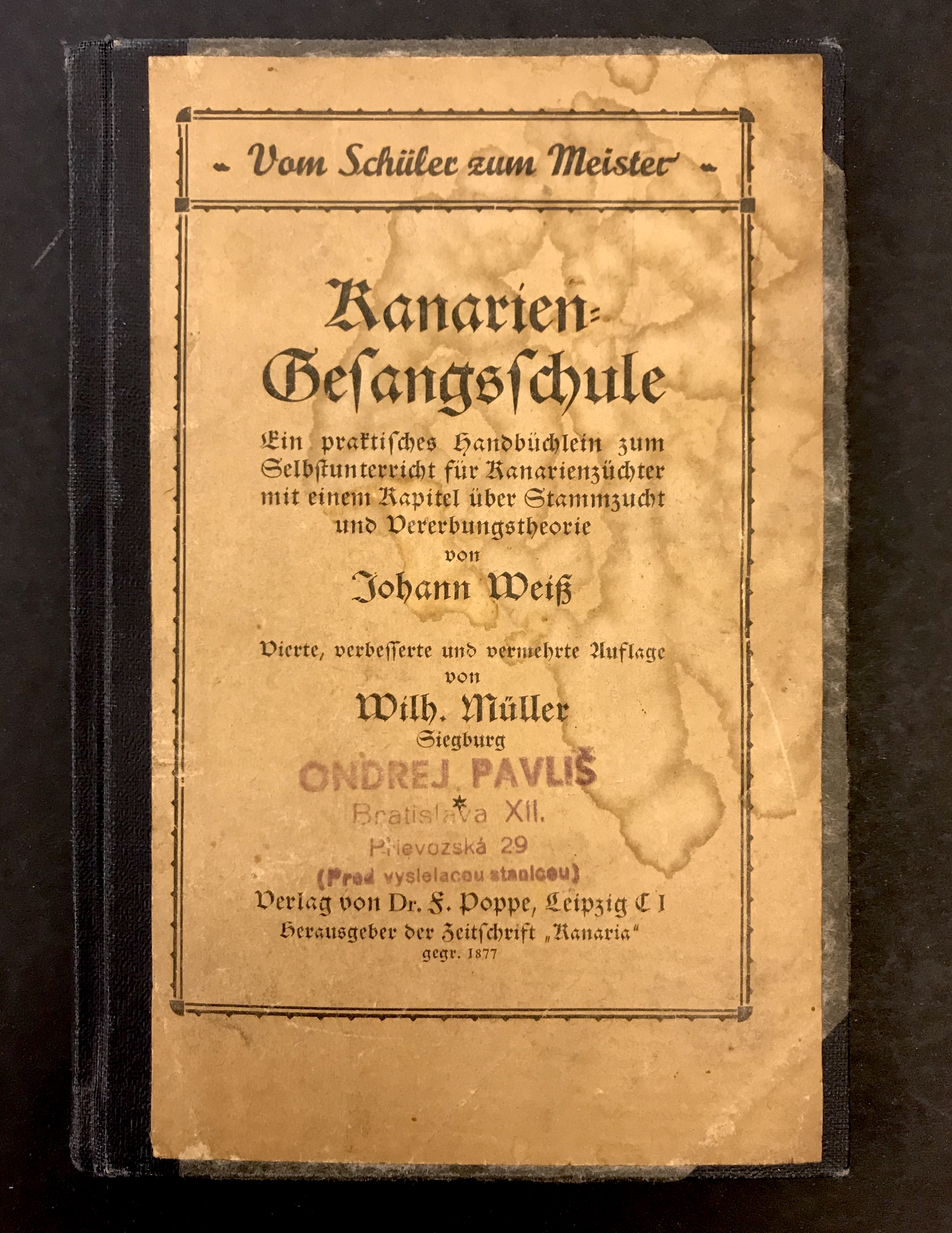 Kanariengesangschule -  vom Schüler zum Meister 