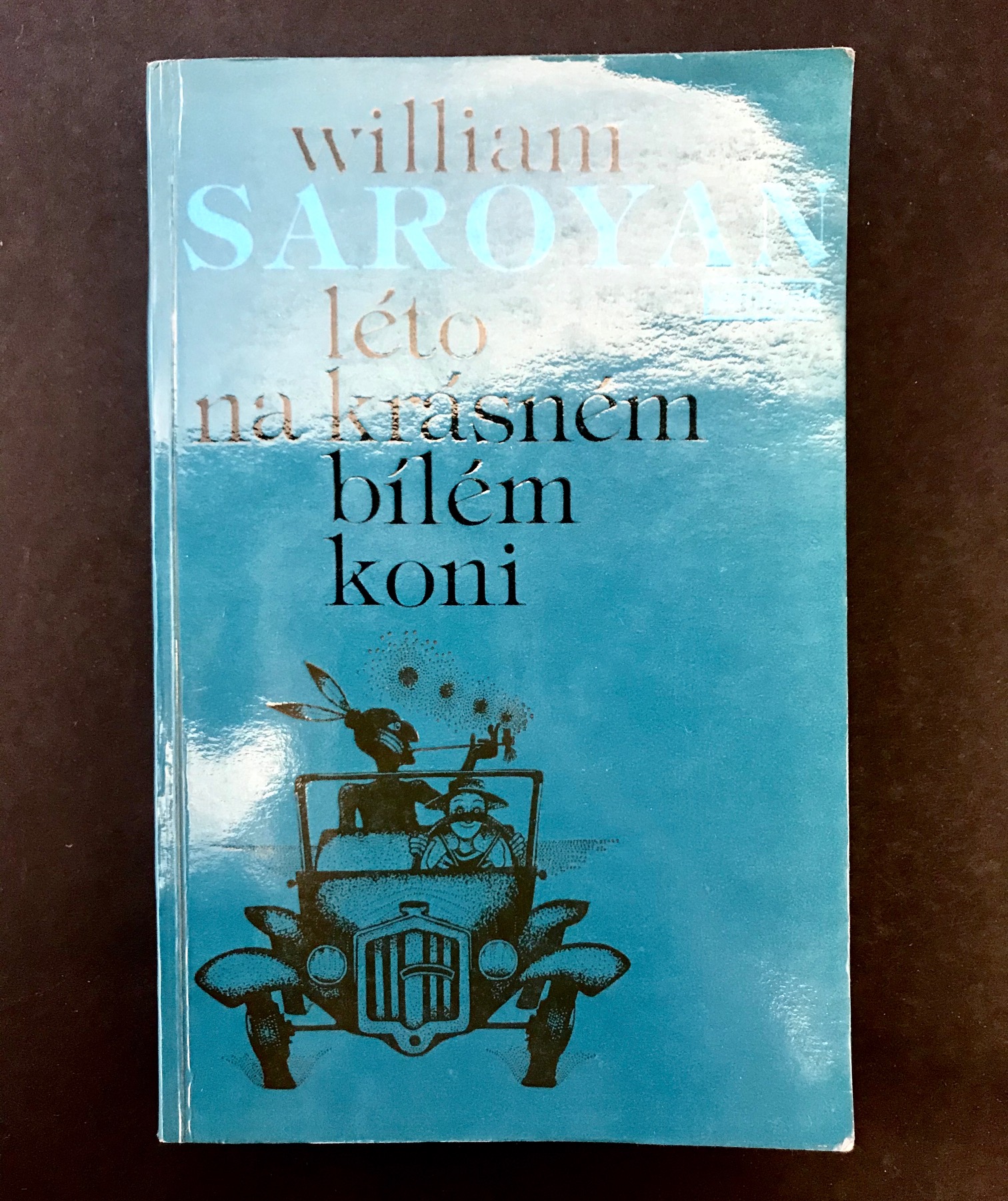 Léto na krásném bílém koni