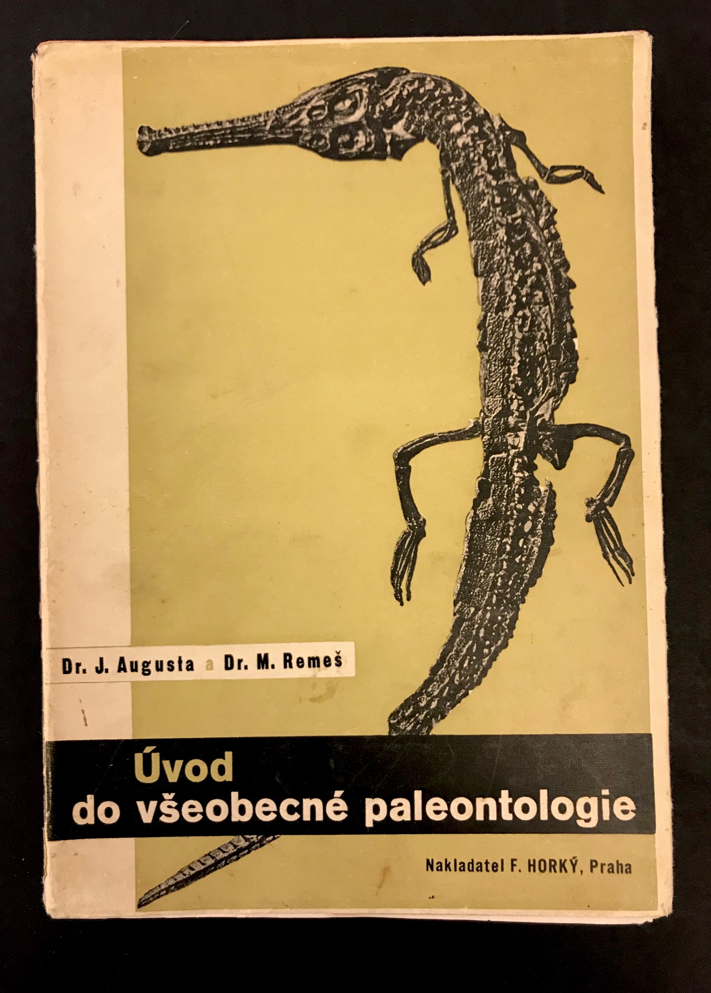 Úvod do všeobecné paleontologie