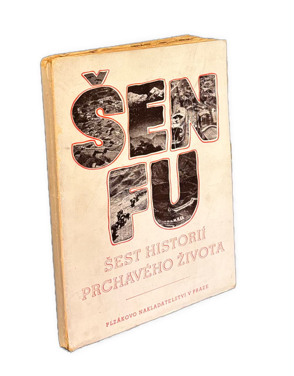 Šest histórií prchavého života - TOYEN