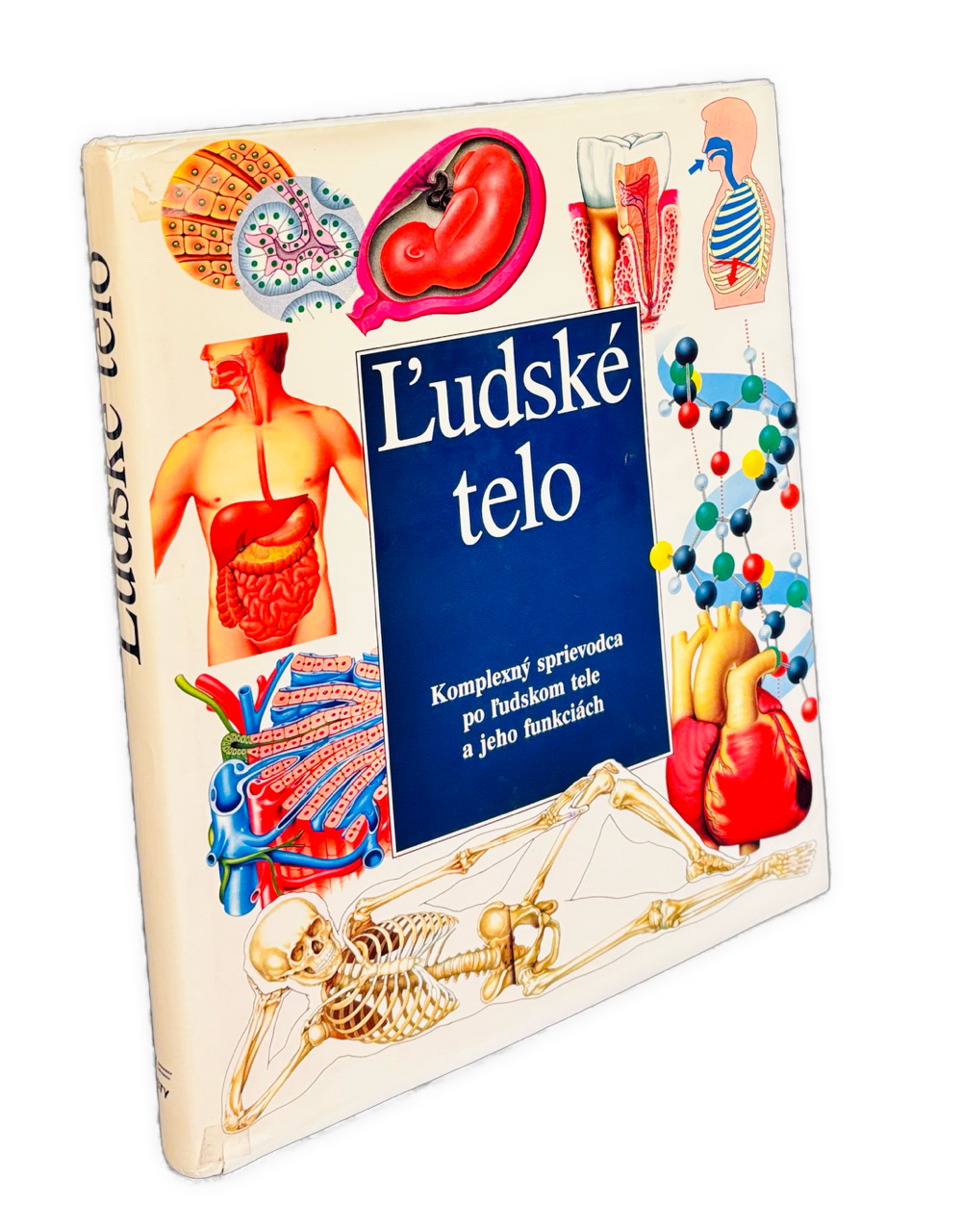 Ľudské telo. Komplexný sprievodca po ľudskom tele a jeho funkciách
