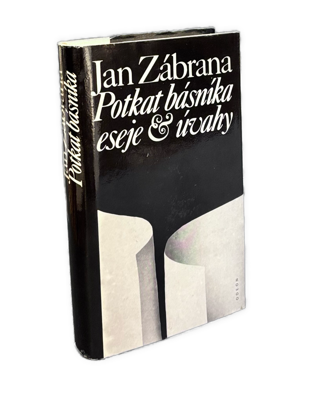 Potkat básníka. Eseje a úvahy
